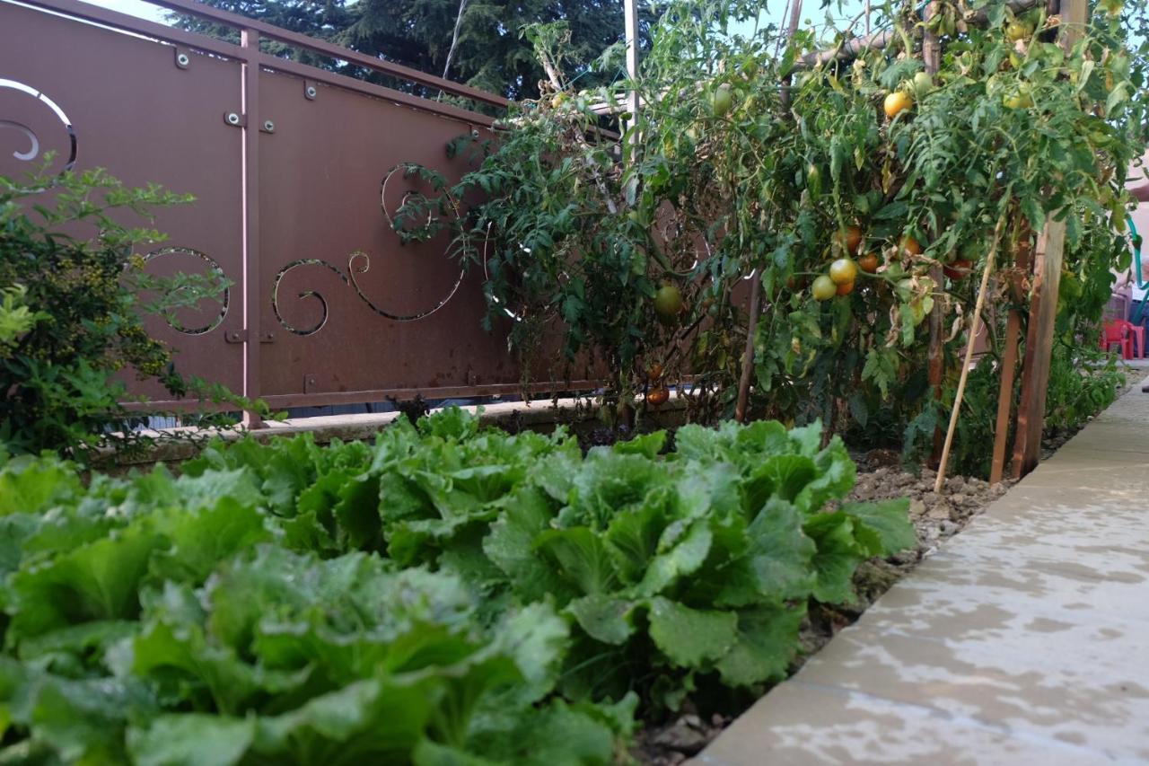 מונטפאלקו Villa Eden מראה חיצוני תמונה